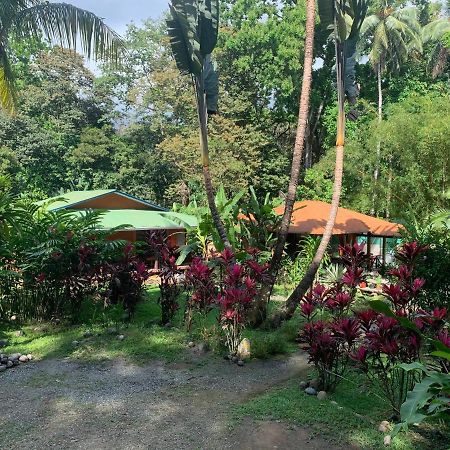 Cabinas Coco Lindo Ojochal Ngoại thất bức ảnh